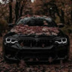 Meet your Posher, Rezk